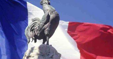 coq emblème de la france